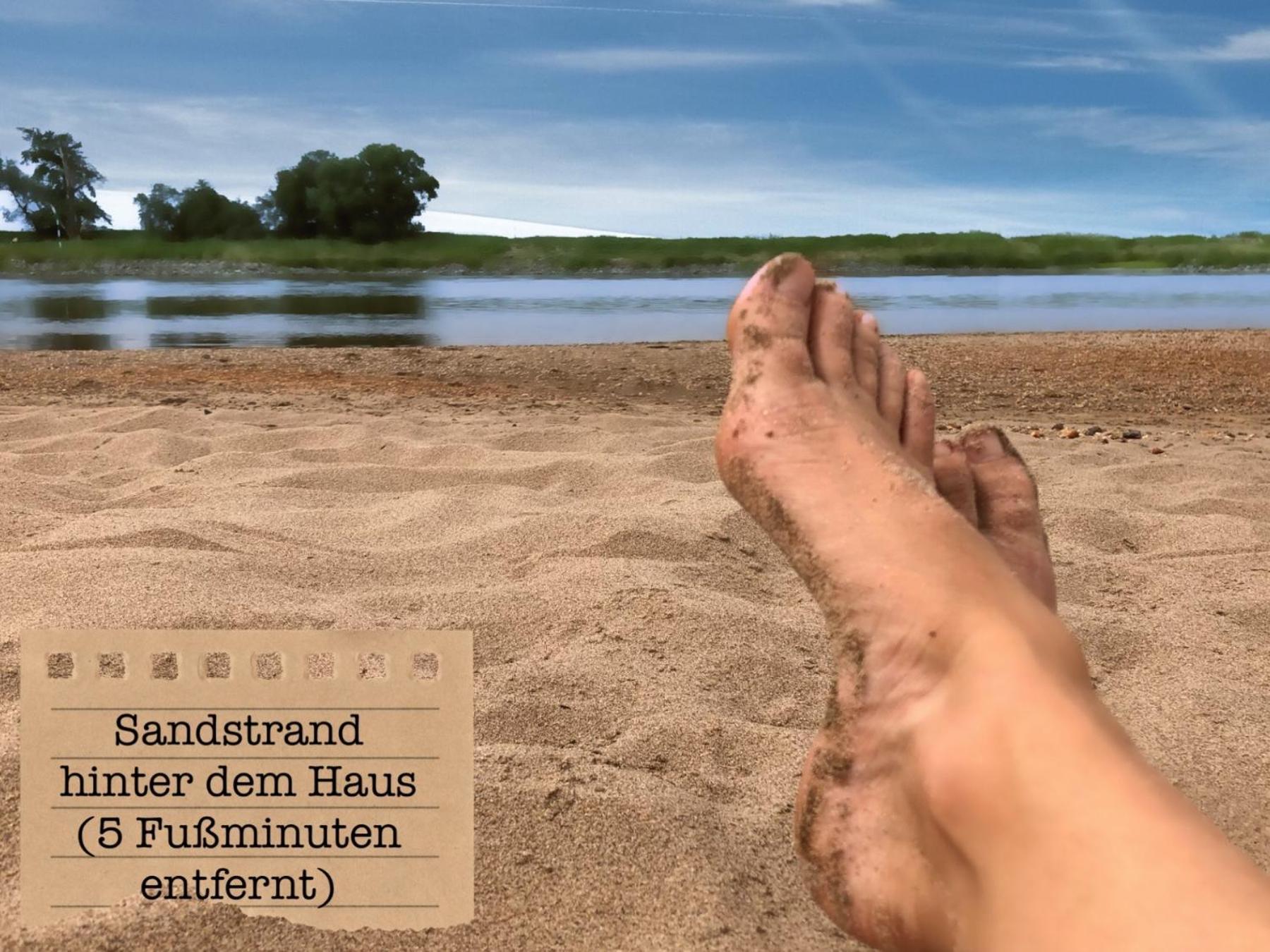 Alte Schule Wittenberg, 3 Ferienwohnungen Fuer Bis Zu 12 Personen, An Der Elbe, Mit Garten Luaran gambar