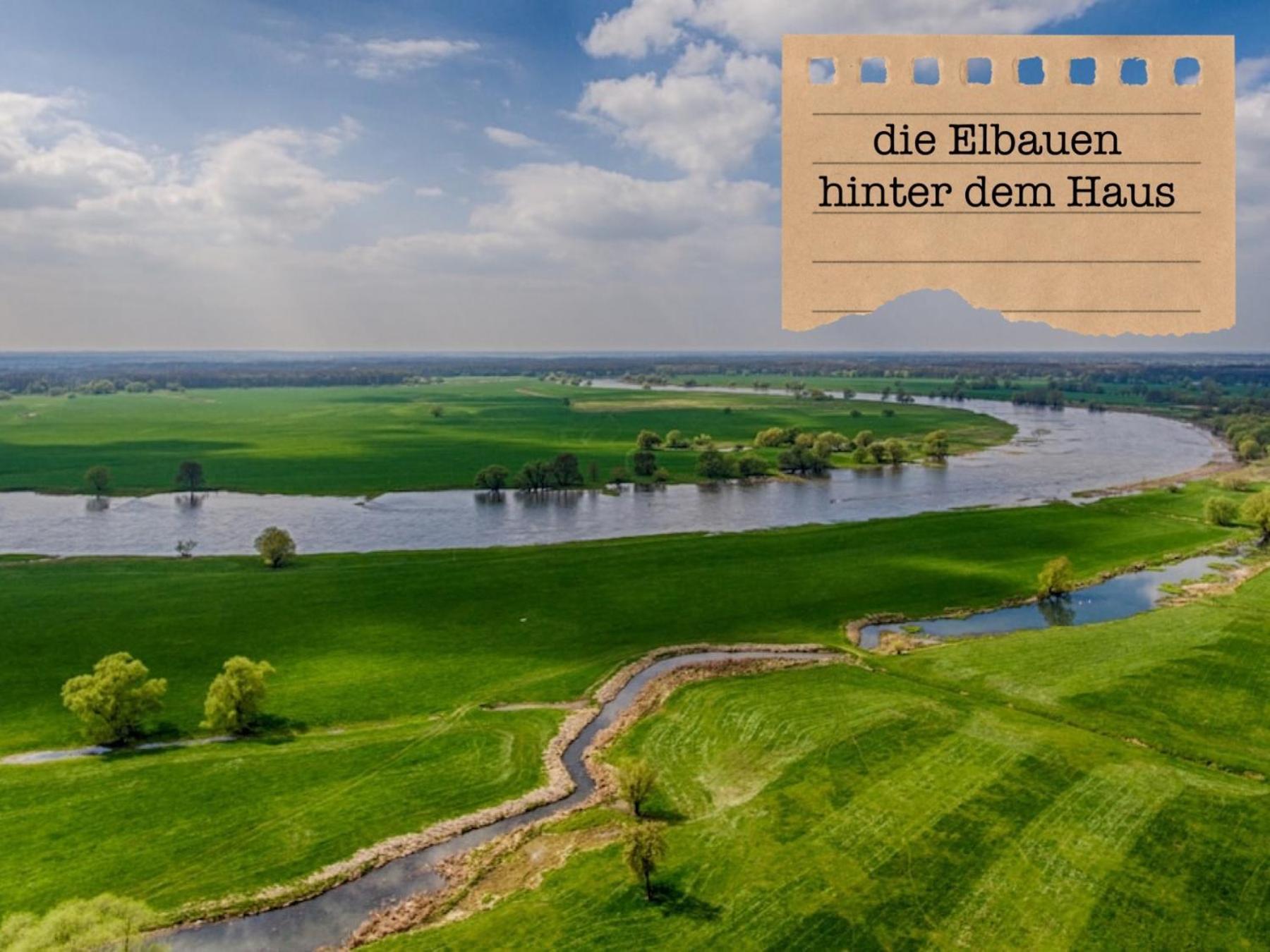 Alte Schule Wittenberg, 3 Ferienwohnungen Fuer Bis Zu 12 Personen, An Der Elbe, Mit Garten Luaran gambar