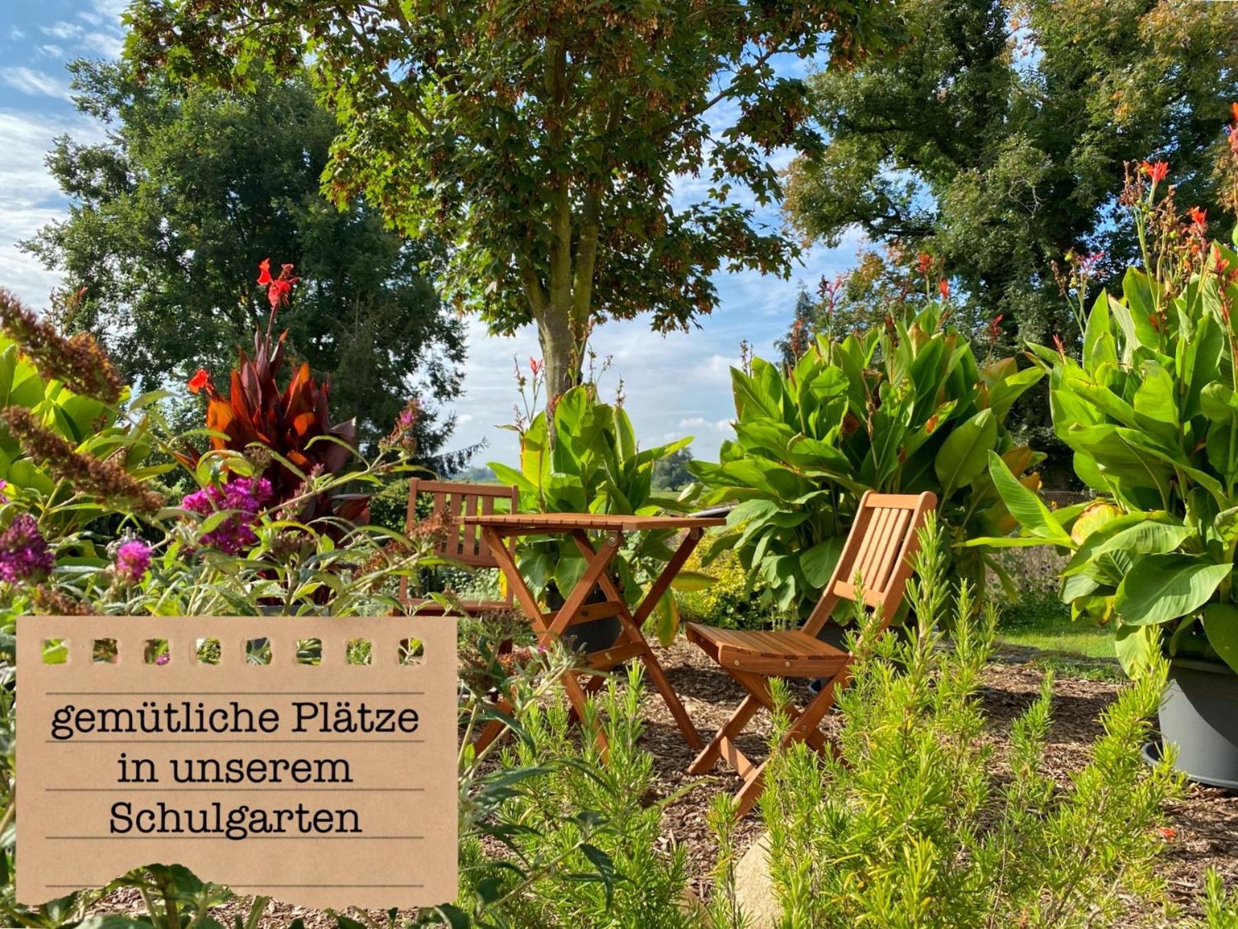 Alte Schule Wittenberg, 3 Ferienwohnungen Fuer Bis Zu 12 Personen, An Der Elbe, Mit Garten Luaran gambar