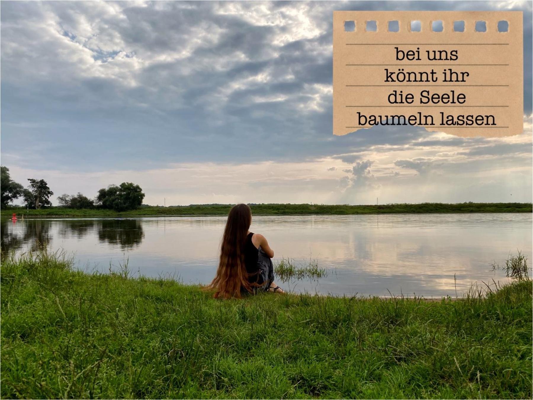 Alte Schule Wittenberg, 3 Ferienwohnungen Fuer Bis Zu 12 Personen, An Der Elbe, Mit Garten Luaran gambar