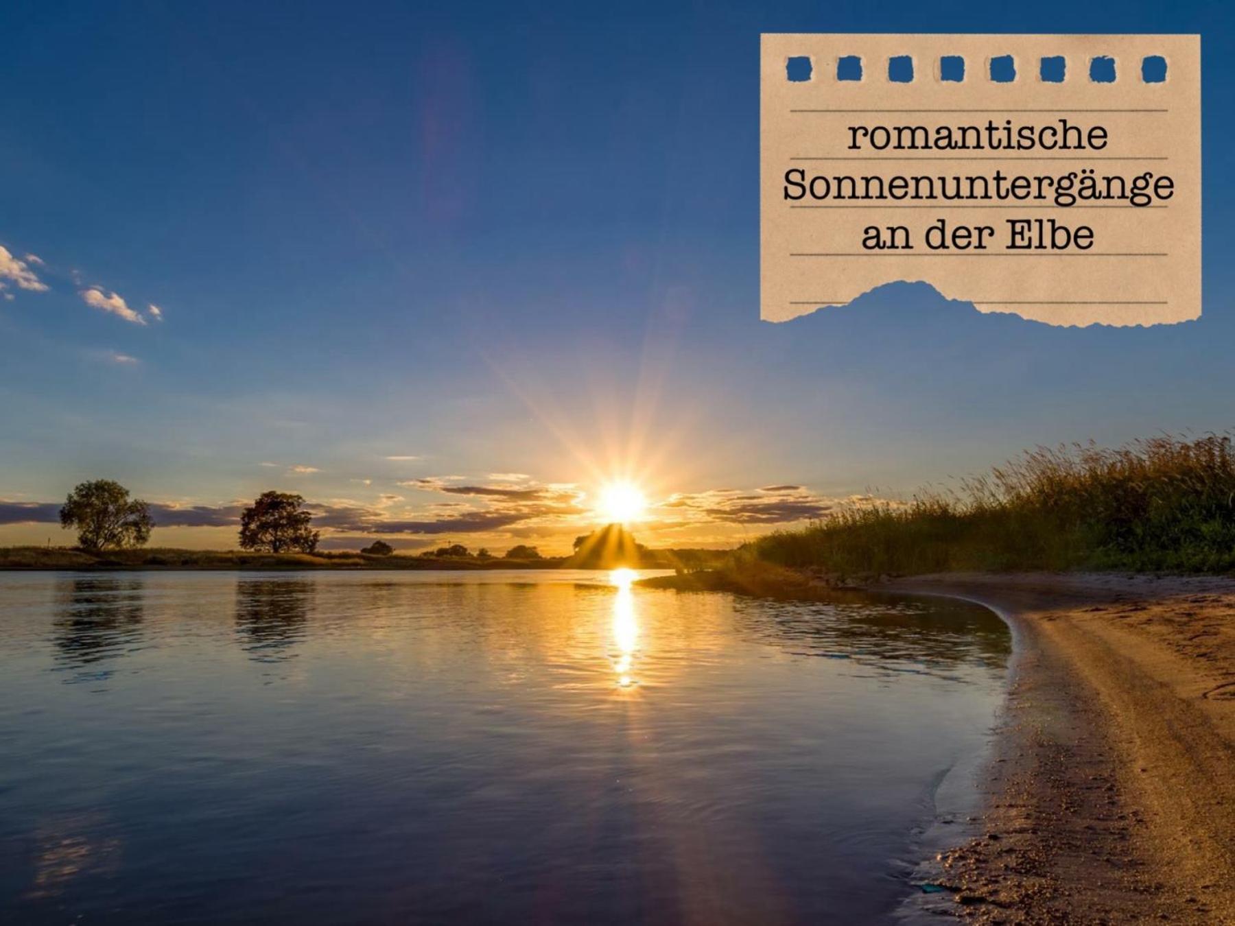 Alte Schule Wittenberg, 3 Ferienwohnungen Fuer Bis Zu 12 Personen, An Der Elbe, Mit Garten Luaran gambar
