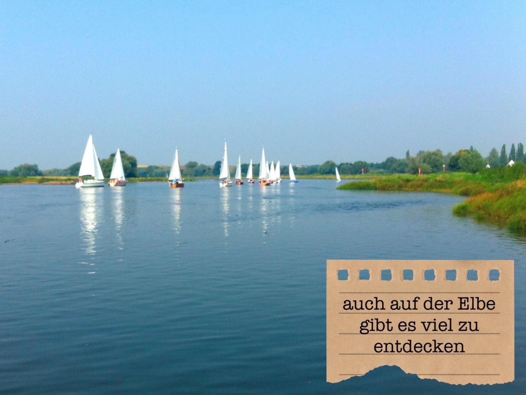 Alte Schule Wittenberg, 3 Ferienwohnungen Fuer Bis Zu 12 Personen, An Der Elbe, Mit Garten Luaran gambar